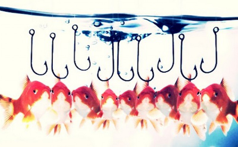 Come riconoscere una truffa online: il phishing e i nuovi pericoli della rete